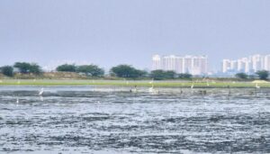 Mamallan reservoir project triggers row over pending fisheries clearance